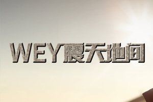 四號店-魏牌、坦克