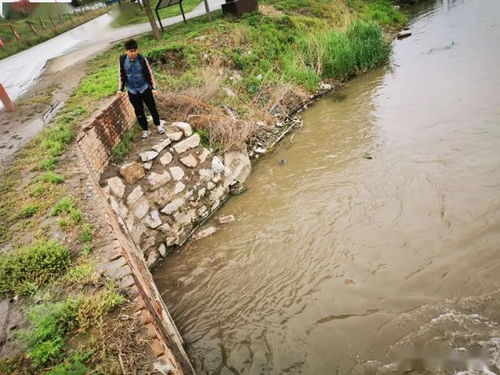 临汾市生态环境局洪洞分局 多措并举 扎实推进水污染防治工作