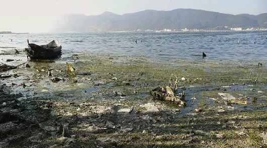 大净净水专家:当下农村水污染排放与治理现状