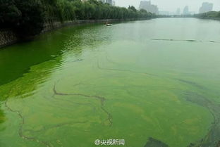珍爱生命之水 青少年系列科普教育微课 水污染与治理