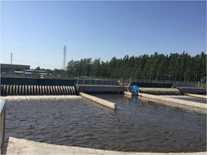 重点流域水污染防治项目网上公开巡查 河南省叶县县城污水处理改扩建工程进展情况