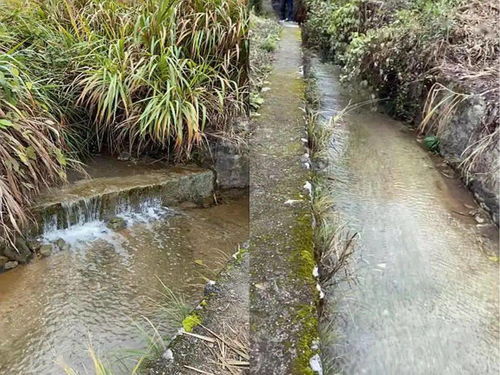 以案释法 郴州市临武县某企业水污染防治设施不正常运行案