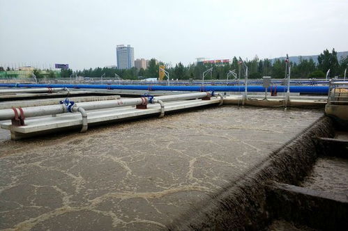 徐启方调研渭河水污染防治工作时强调 做优水生态做美水环境