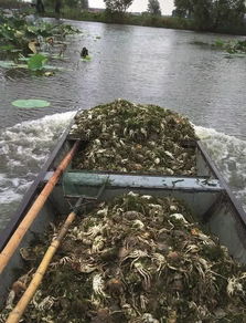 民间环保组织起诉安徽省政府 跨界水污染治理困局如何破解