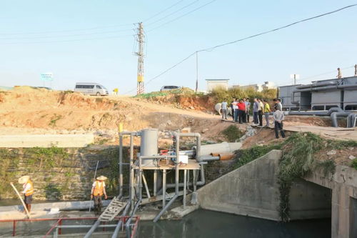 东城街道党委书记刘林宏调研水污染治理和桑茶快速路建设工作