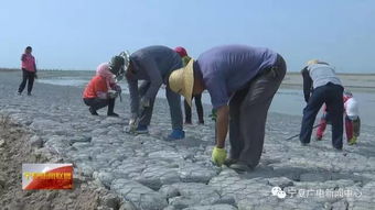 聚焦生态建设,共谋转型发展,宁夏引得全国各大卫视记者纷纷点赞