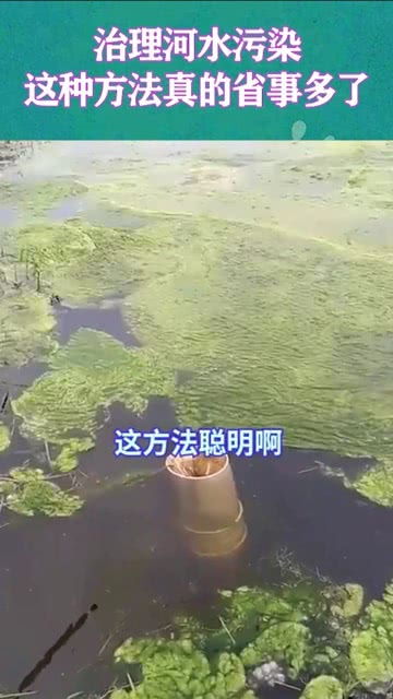 治理河水污染,竟然想到这种妙招,真是个人才啊