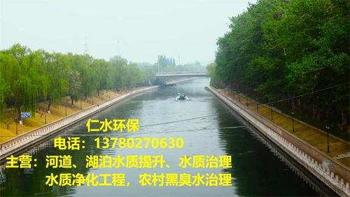 2022欢迎 沧州市水质水体水污染应急治理技术指导 仁水集团