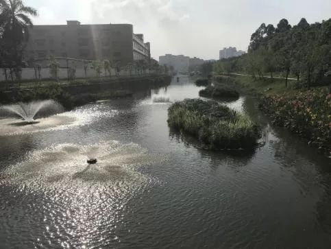 叮 这是东莞水污染治理的答卷,请您阅卷