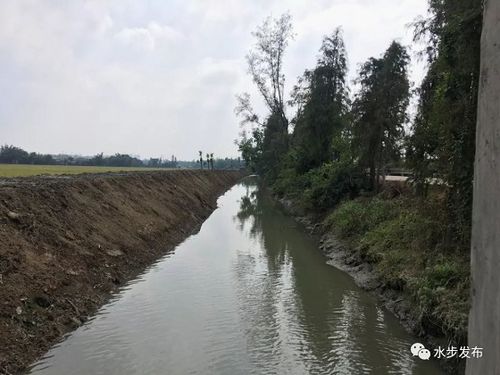 绿水青山 不是梦,我们一直在努力
