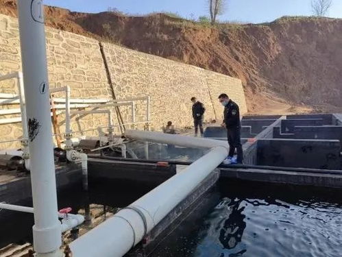 生态环境部公布第十批生态环境执法典型案例 优化执法方式领域