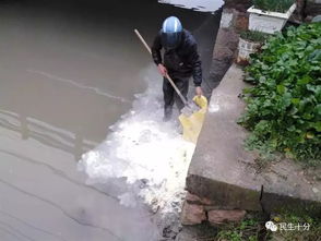 男子将灭火器干粉倒入河中 致河道污染
