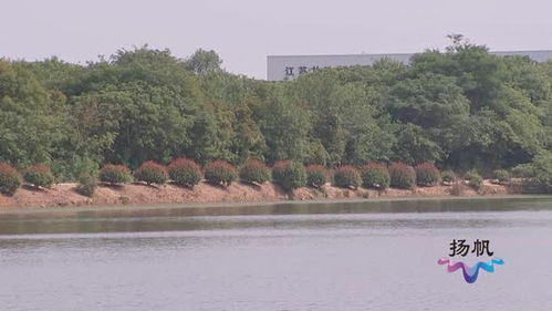 全面推进落实河湖长制,更生动更具体做好水污染防治工作