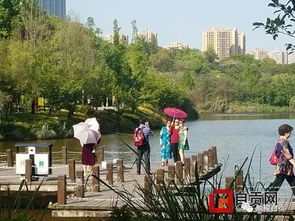 自贡市吹响水污染治理 冲锋号