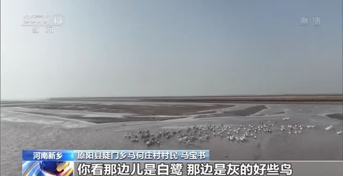 世界水日丨防治水污染恢复水生态 让水里有草 水里有鱼 水边见绿