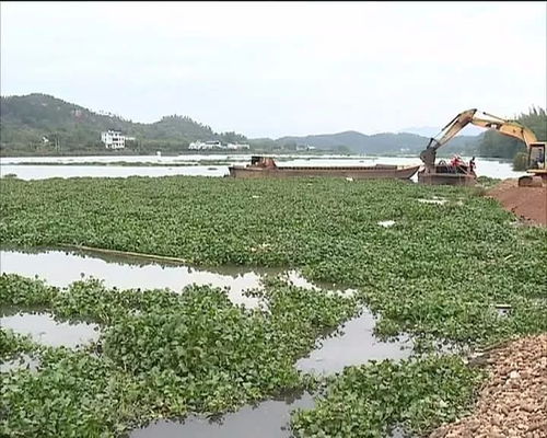 全市大气和水污染防治工作会议在我区召开 实施最严管理打赢环境污染防治攻坚战