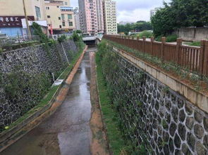 水清岸绿 大浪街道高标准推进水污染治理,打造一轴两道三极四带生态网络