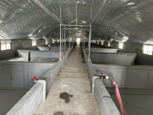惊了 水产养殖水污染是工业污染的2倍 不 行业人士这么说......