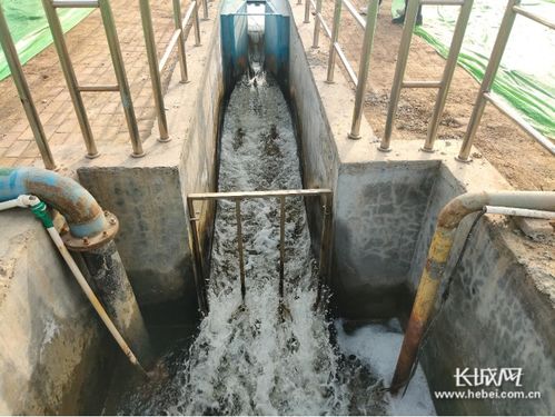 衡水构建全方位水污染防治体系 推动全市水生态环境质量持续改善