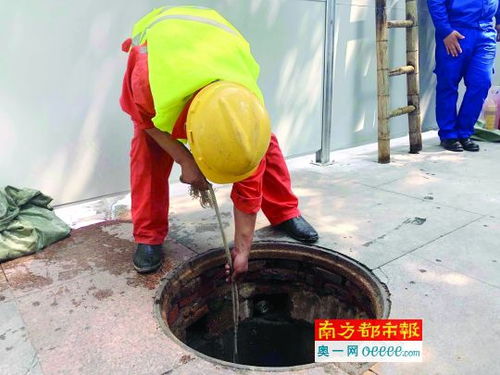 消除茅洲河污染源 长安 集中火力 清疏河涌