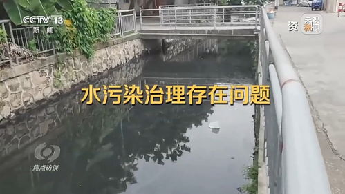焦点访谈丨从 臭不可闻 到 水清岸绿 中山水污染治理如何破局