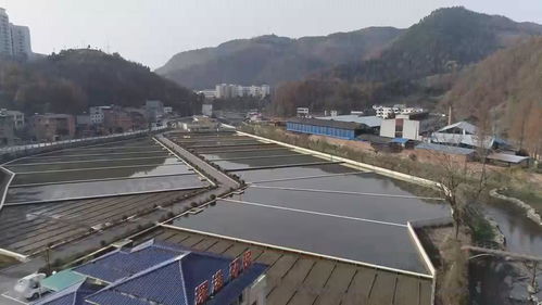 郧阳区 打造 三区十二景 ,全面启动这条河的生态修复
