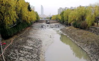 专题报道