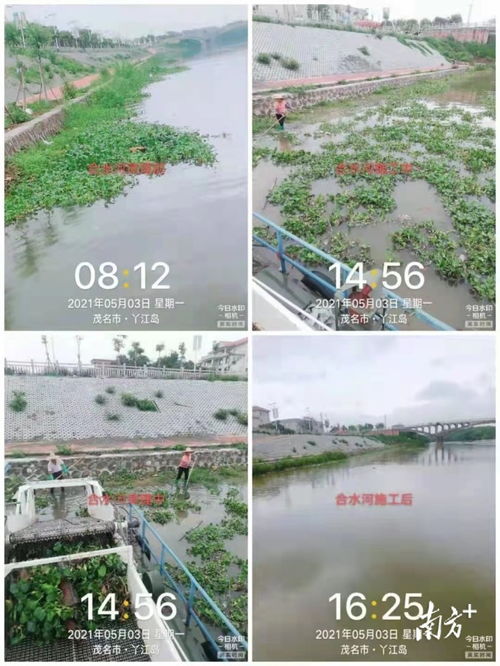 茂南水务局多举措加强水污染防治监管